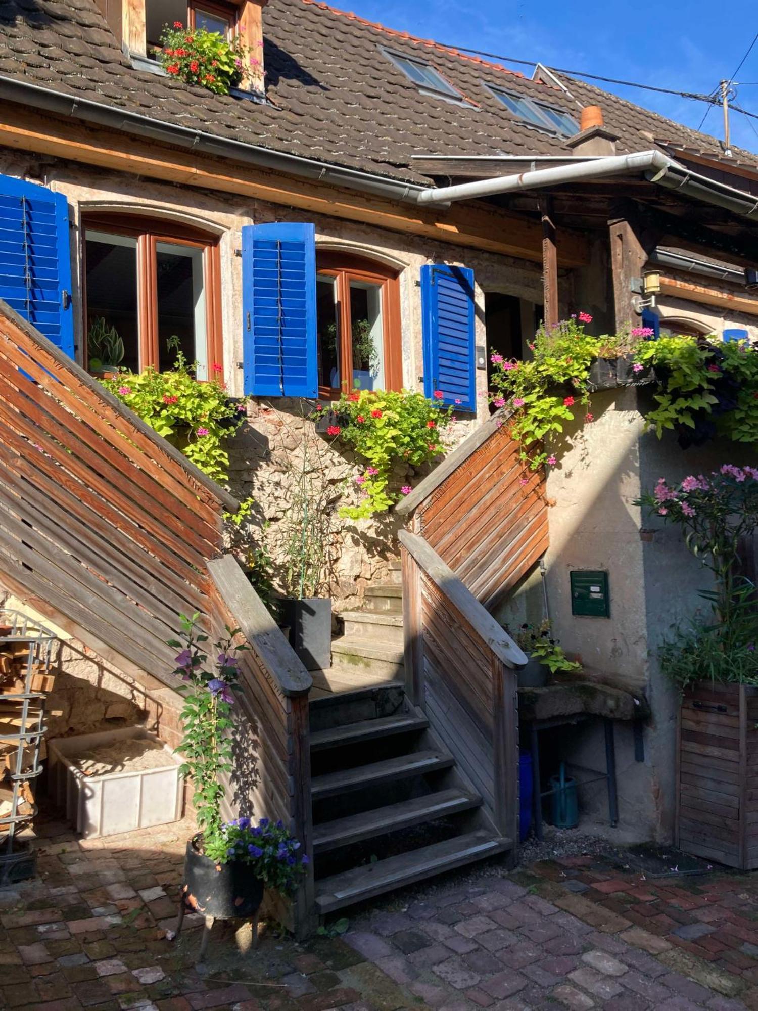 Les Gites Du Raceme Blienschwiller Buitenkant foto