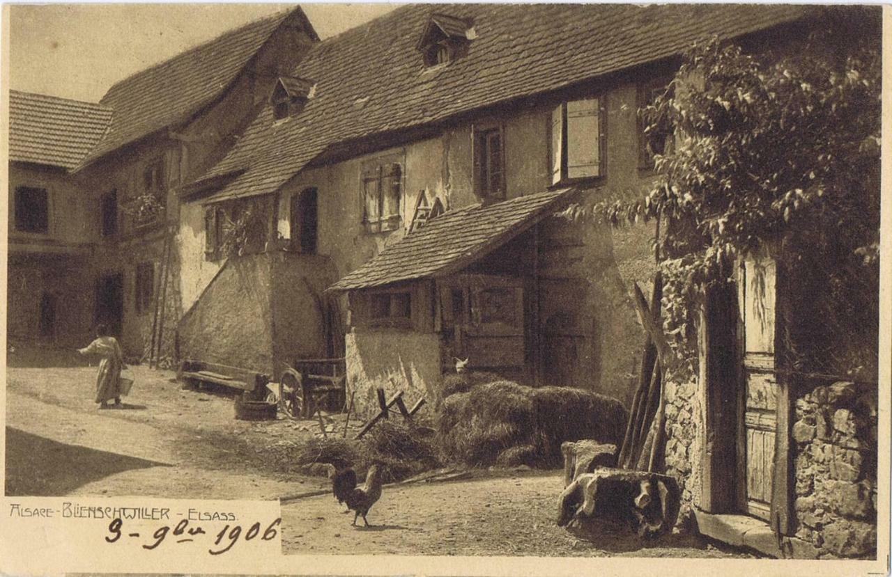 Les Gites Du Raceme Blienschwiller Buitenkant foto